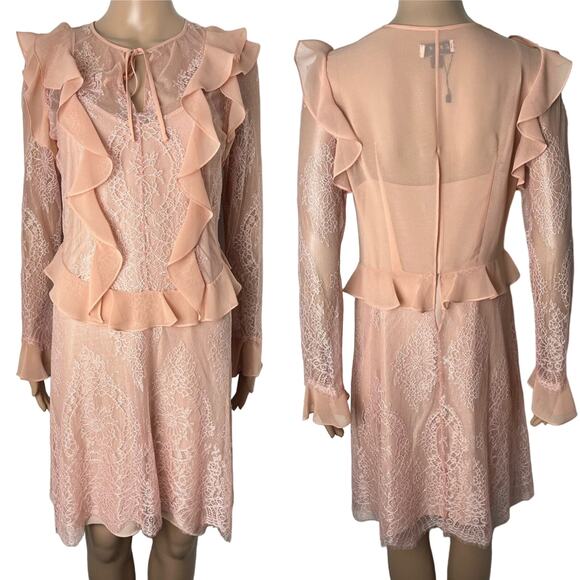 Anthropologie Dresses & Skirts - Delfi Collective X Anthropologie Luna Sheer Ruffle Lace Sheath Dress